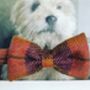 Finsbay Harris Tweed Bow Tie Dog Collar, thumbnail 2 of 2