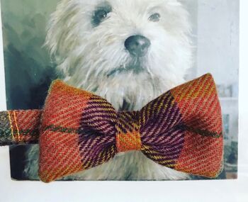 Finsbay Harris Tweed Bow Tie Dog Collar, 2 of 2