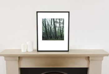 Woodland Mist, Suffolk Photographic Art Print, 2 of 4