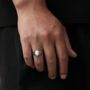 Silver Natural Pine Stone Signet Ring Steel Ring For Men, thumbnail 2 of 7
