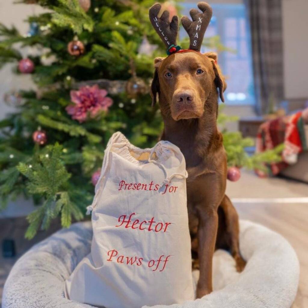 Personalised Dog Christmas Present Sack By nervous puppy