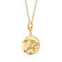 Leo Zodiac Necklace, Sterling Silver Or Gold Plated, thumbnail 3 of 9