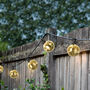 LED Gold Indoor Outdoor Festoon Lights, thumbnail 4 of 5