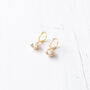 Gold Plated Shell Earrings, thumbnail 2 of 10