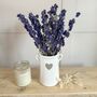 Blue Delphiniums In Vase, thumbnail 2 of 3