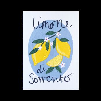 Limone Di Sorrento Art Print, 3 of 3