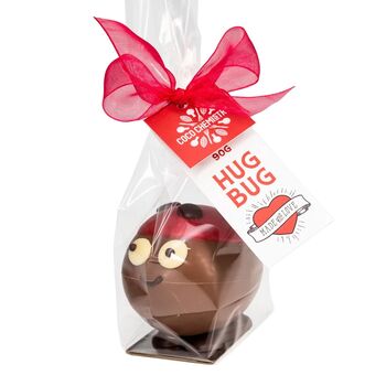 Valentine's Hug Bug, 5 of 5