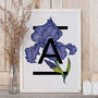 Personalised Alphabet Initial Iris Flower Print, thumbnail 1 of 4