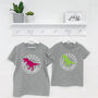 Sibling Brother Sister Dinosaur T Shirt Set, thumbnail 4 of 5