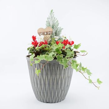 Festive Outdoor Planter 26cm Winter Garden Arrangement, 2 of 2