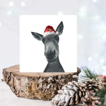 Sirus The Donkey Red Hat Christmas Card, 2 of 7