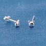 Tiny Bear Sterling Silver Stud Earrings, thumbnail 3 of 7