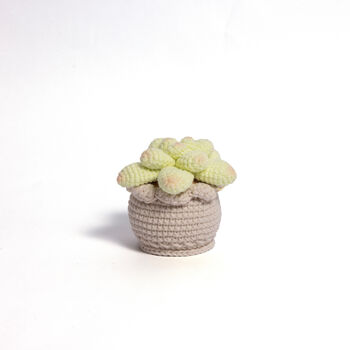 Soft Crochet Succulent Plants, 3 of 3