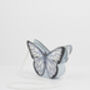 Blue Butterfly Bag, thumbnail 3 of 7