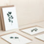 Luxury String Of Pearls Print Card In Ivory/Green, thumbnail 2 of 2