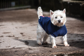 Westie Polartec Water Resistant Dog Coat, 4 of 5