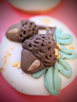 Personalised Hand Iced Little Acorns And Oak Leaf Biscuit Gift Box, 8 of 8
