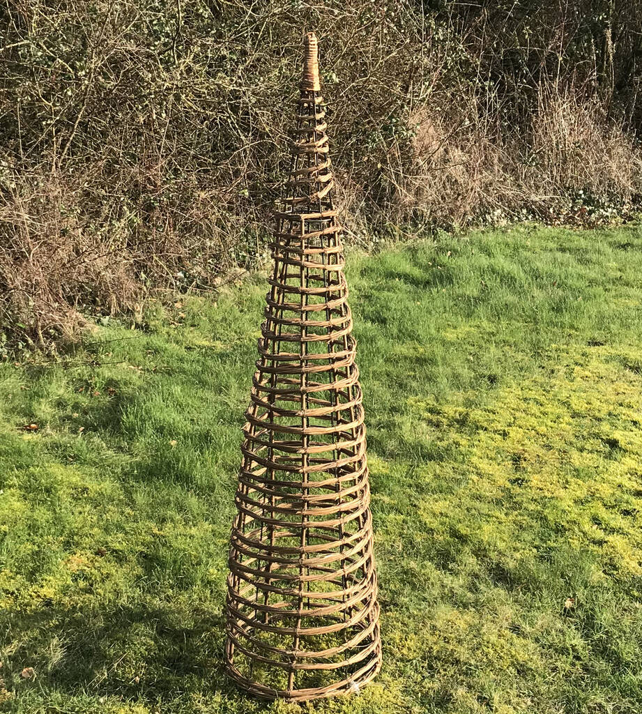 Image of Willow Twist Spiral Garden Obelisk