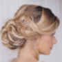 Large Swarovski Crystal Wedding Hair Pins Maisie, thumbnail 8 of 12