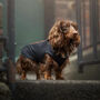 Dachshund Dog Technical Fleece Coat, thumbnail 8 of 8