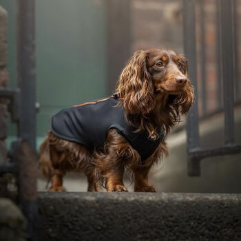 Dachshund Dog Technical Fleece Coat, 8 of 8