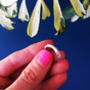Branch Ring, thumbnail 2 of 6