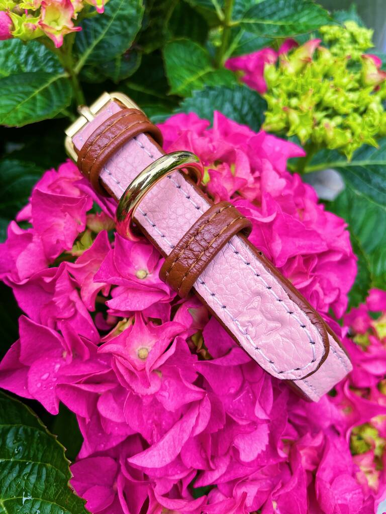 Hot Pink- Luxury Designer Monogram Empreinte Leather Dog Collar