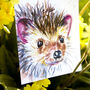 Inky Hedgehog Postcards, thumbnail 3 of 5