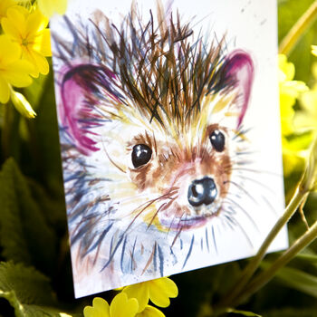 Inky Hedgehog Postcards, 3 of 5