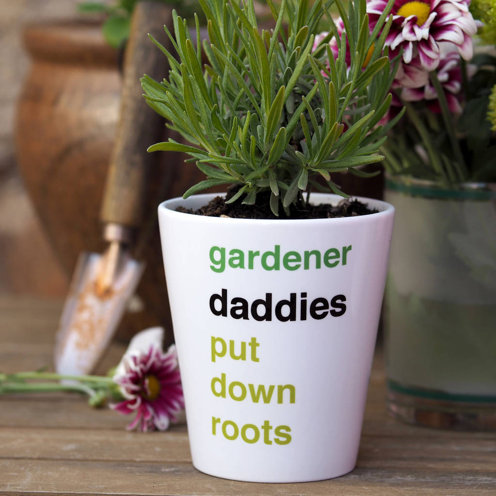 Plant daddies