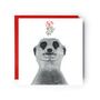 Meerkat Mistletoe Kisses Christmas Greeting Card, thumbnail 1 of 4