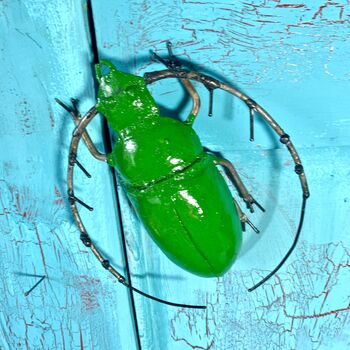 Green Beetle Garden Wall Art Art114, 3 of 5