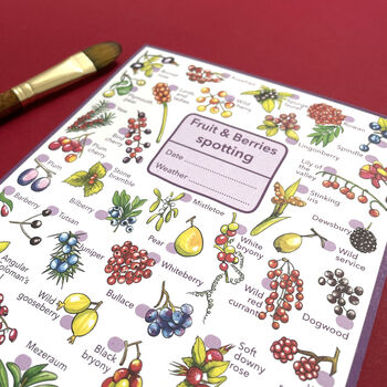 Fruits And Berries Spotting Journal Notepad, 7 of 8
