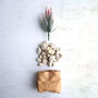 Personalised Mini Leather Paper Bag Planter With Custom Message And Artificial Aloe Vera, thumbnail 5 of 7