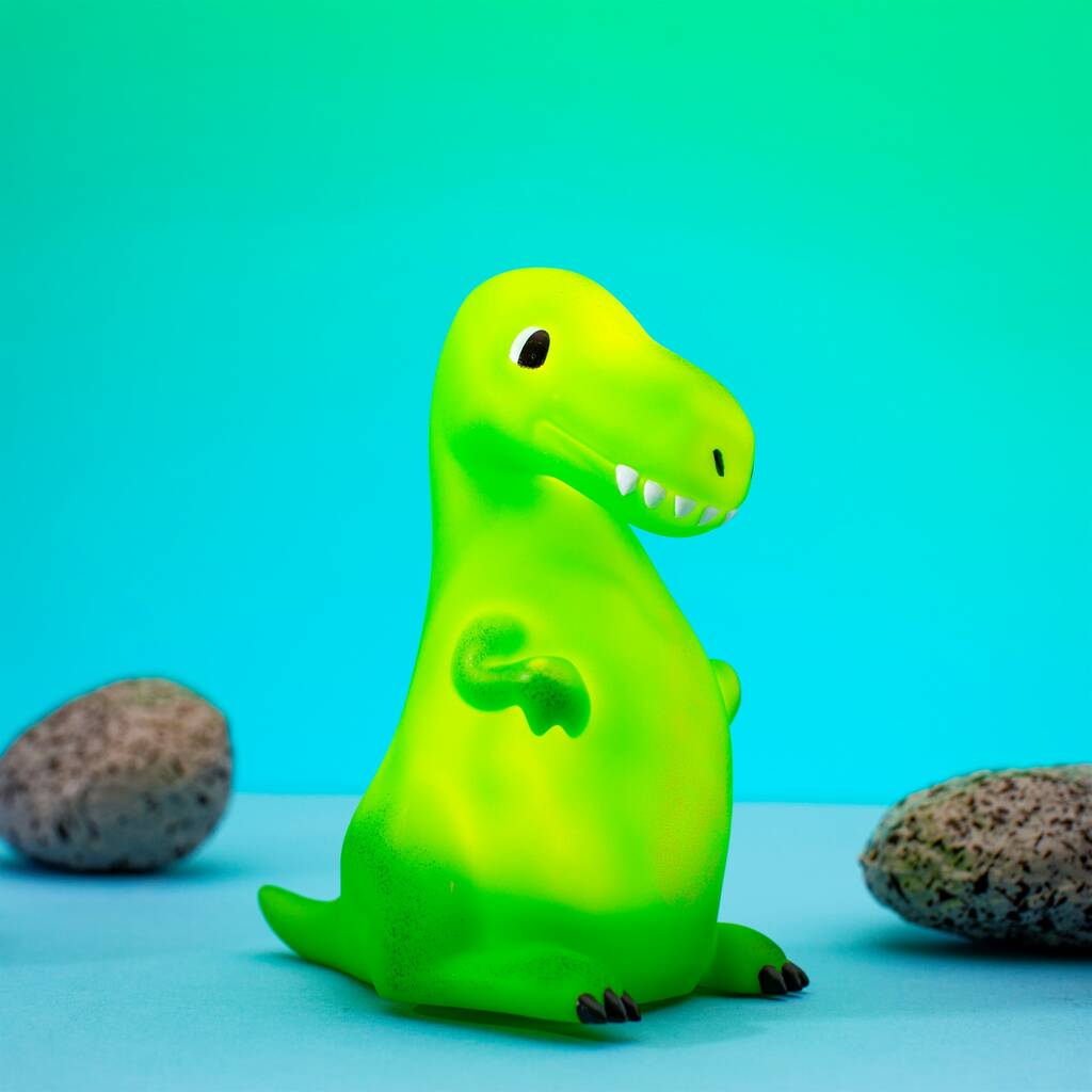 Dinosaur Night Light By The Alphabet Gift Shop | notonthehighstreet.com