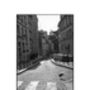 Pidgeon Crossing, Paris, France Photographic Art Print, thumbnail 3 of 4