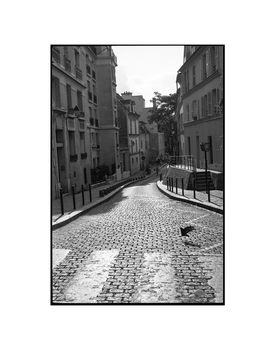 Pidgeon Crossing, Paris, France Photographic Art Print, 3 of 4