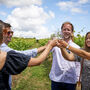 Cheese And Wine Tasting Experience At Chapel Down Vineyard, thumbnail 6 of 11