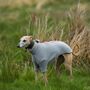 Whippet Polartec Water Resistant Dog Coat, thumbnail 5 of 12