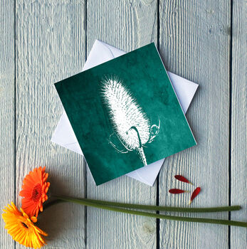 Teasel Winter Seed Head Greetings Card, 2 of 2