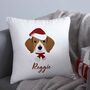 Christmas Dog Cushion, thumbnail 1 of 3
