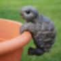 Indoor/Outdoor Detailed Tortoise Pot Hanger, thumbnail 1 of 3