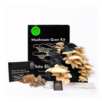 Oyster Mushroom Growing Kit, 10 of 11