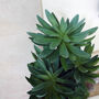 60cm Artificial Tropical Yukka Palm Potted In Planter, thumbnail 4 of 4