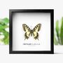 Old World Swallowtail Handcrafted Frame, thumbnail 1 of 3