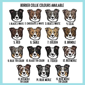 Border Collie Keychain, 5 of 6