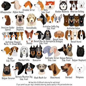 Personalised Geometric Dog Breed ID Tag, 3 of 11