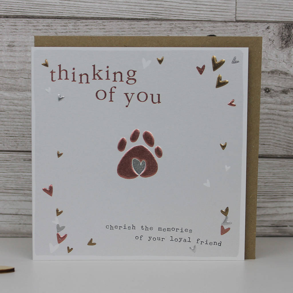 Pet Condolence Sympathy Card By Molly Mae Notonthehighstreet