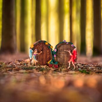 Fairy Door Garden Ornaments Mini 2pc Set Outdoor Pixies, 3 of 12