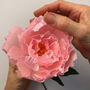 Paper Flower Kit Peony, thumbnail 8 of 11